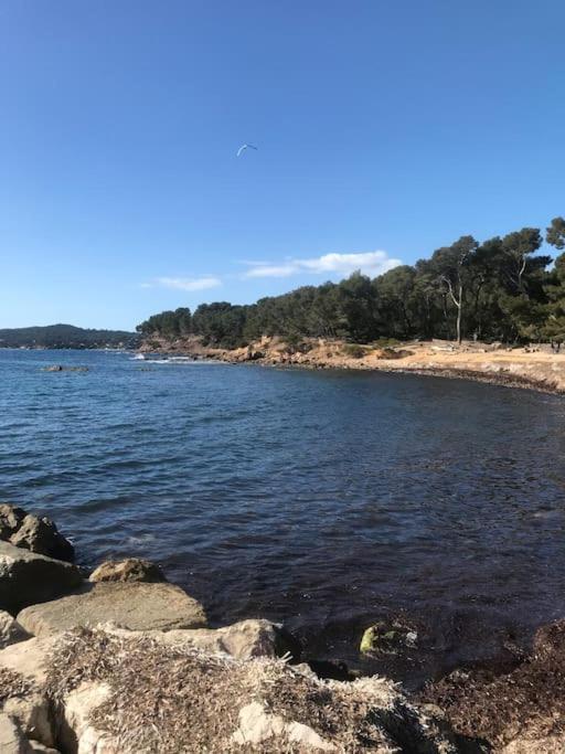 Studio L'Echappee Mandreenne Le Calme Entre Mer Et Foret Saint-Mandrier-sur-Mer Exterior photo