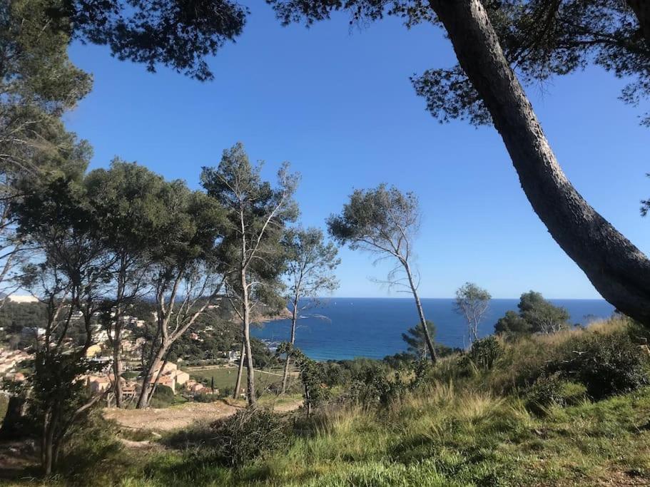 Studio L'Echappee Mandreenne Le Calme Entre Mer Et Foret Saint-Mandrier-sur-Mer Exterior photo